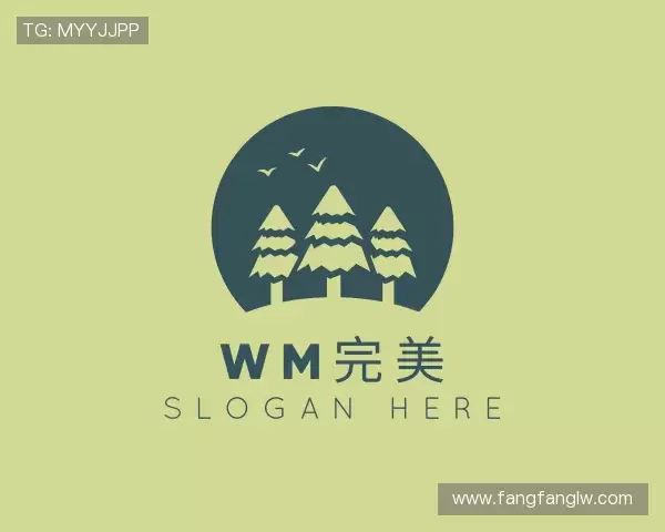 了解wm完美最新地址